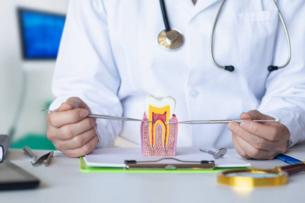 Best Emergency Root Canal Treatment in Burnsville, MN